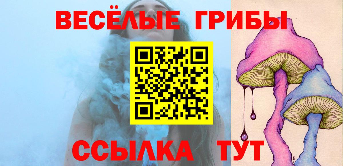 Новосибирск  Псилоцибиновые грибы Magic Shrooms  Вход с VPN  Галлюциногенные грибы прущие грибы 